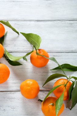 taze olgun tangarines ve yeşil yaprakları