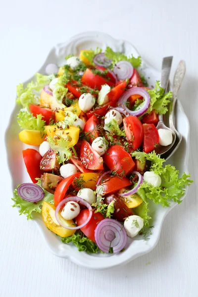 Итальянский салат на большой тарелке — стоковое фото