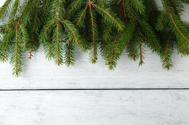 Ladin kurullarında şube