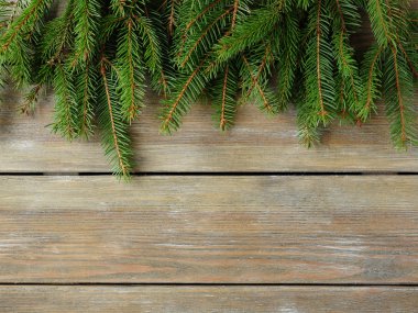 Noel arka plan yeşil Ladin ile