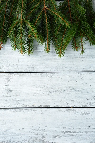 Abeto sobre tablas blancas — Foto de Stock