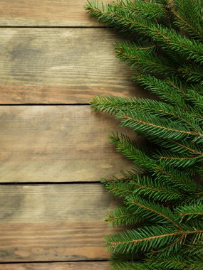 eski ahşap panel üzerinde yeşil Ladin