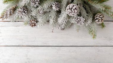 Ladin ve koniler kar