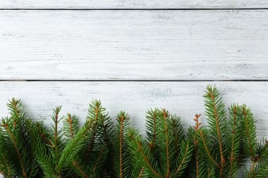  Yeşil Ladin ile arka plan