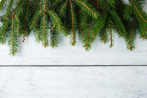 Kerst banner met groene branch — Stockfoto