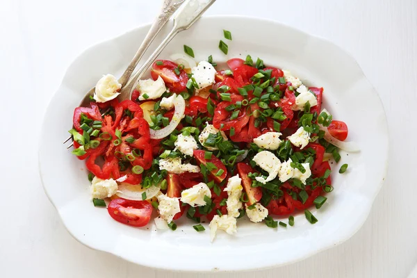 Summer tomato salad with cheese — Stock Photo, Image