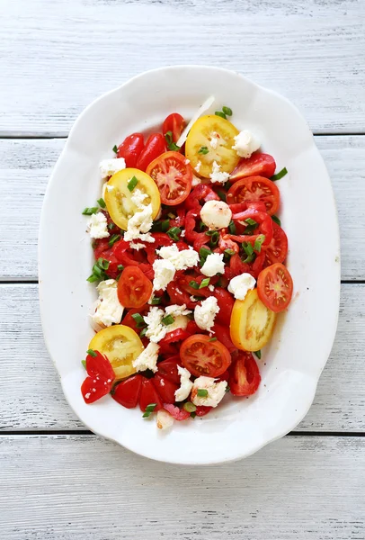 Renk yaz domates salatası — Stok fotoğraf