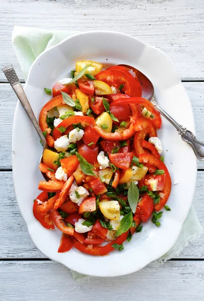 Kırmızı biber ile yaz salatası — Stok fotoğraf