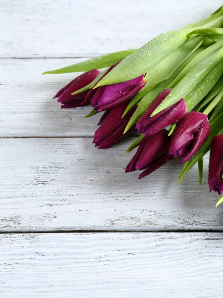 Fialové tulipány na bílé desce — Stock fotografie