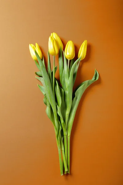 Gelbe Tulpen auf orangefarbenem Papier — Stockfoto