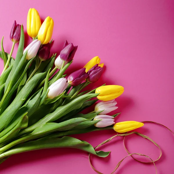 Tulpen auf rosa Hintergrund — Stockfoto