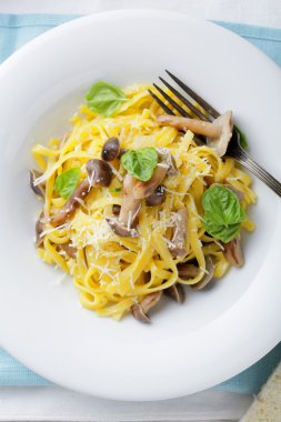  Tagliatelle mantarlı kavrulmuş mantar