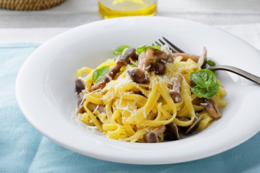  Tagliatelle mantarlı orman