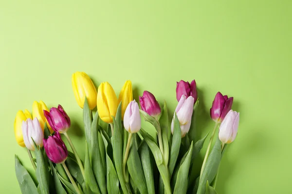 Frühling Tulpen auf grünem Hintergrund — Stockfoto
