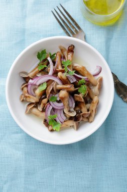 Salamura mantar salatası