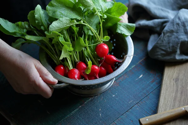 Colander with organic radish in hands — Stock Photo, Image