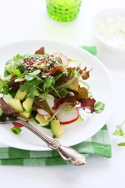 Salada fresca com rabanete — Fotografia de Stock