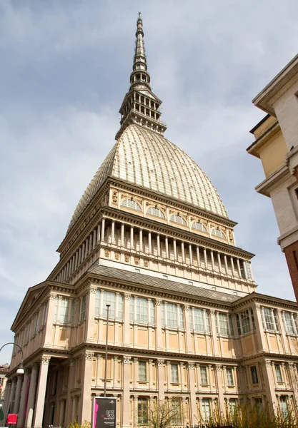 Turin'ın köstebek — Stok fotoğraf