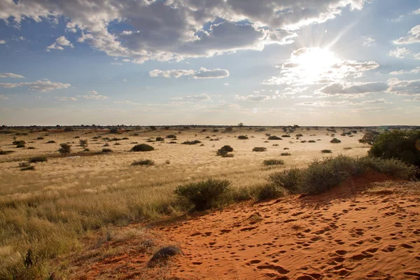 Krajobraz Namibii — Zdjęcie stockowe