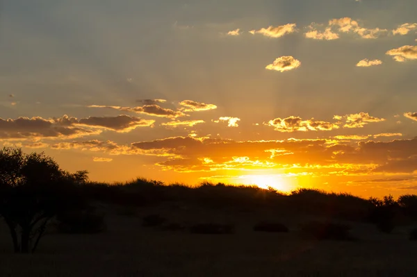 Afrikanischer Sonnenuntergang — Stockfoto