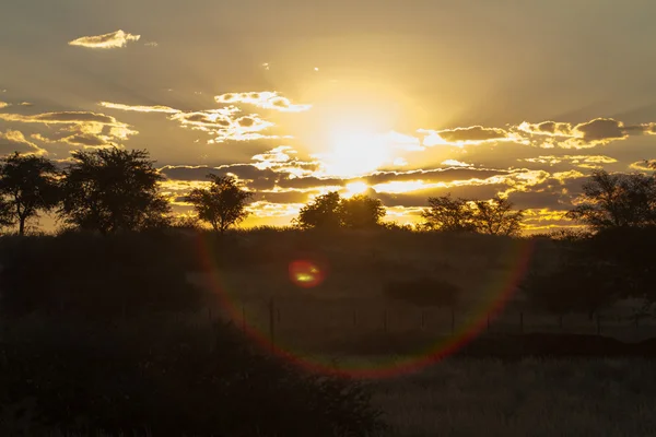 Pôr do sol africano Imagem De Stock