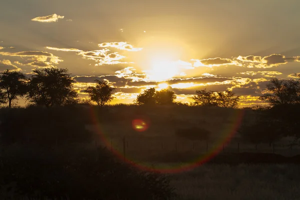 Puesta de sol africana Imagen de stock