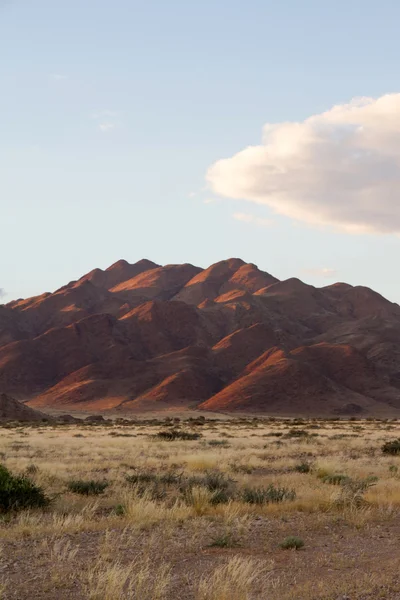 Sossusvlei parku, Namibia — Zdjęcie stockowe