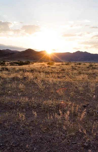 Sossusvlei park, Namibia — Stock Photo, Image