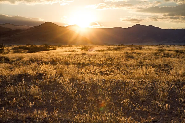 Taman Sossusvlei, Namibia — Stok Foto