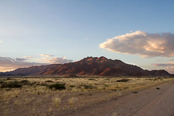 Parque Sossusvlei, Namibia Imagen De Stock