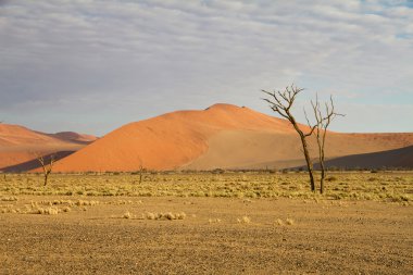 Sossusvlei park, Namibya