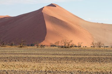 Sossusvlei park, Namibya