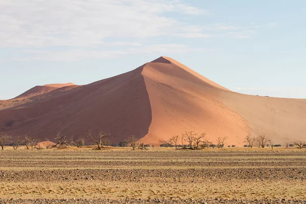 Sossusvlei parku, Namibia — Zdjęcie stockowe