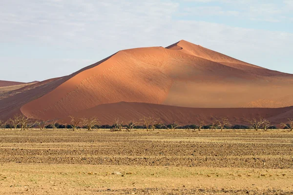 Sossuavlei park, Namibia — Stock Photo, Image