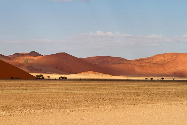 Parque Sossusvlei, Namibia — Foto de Stock