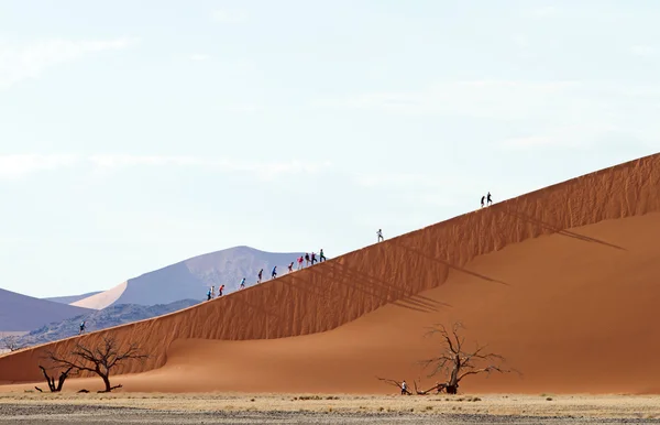 Sossusvlei park, Namibie — Stock fotografie