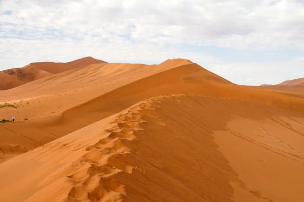 Parque Sossusvlei, Namibia —  Fotos de Stock