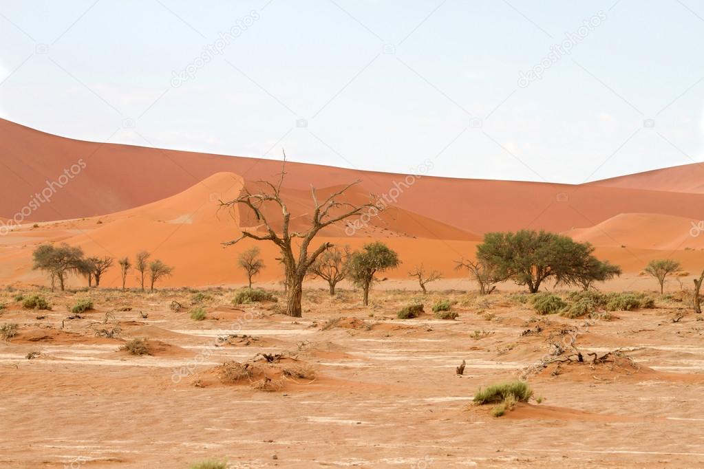 Sossusvlei park, Namibia