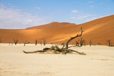 Sossusvlei park, Namibya