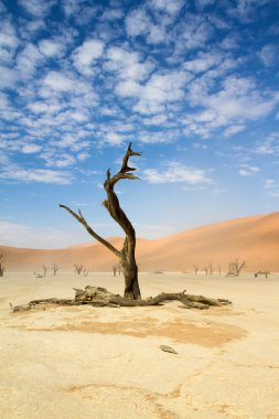 Sossusvlei park, Namibya