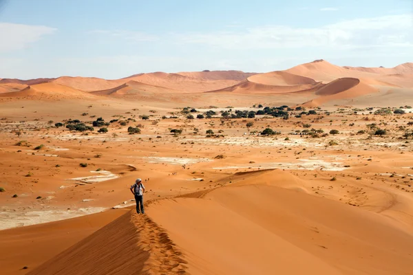 Parque Sossusvlei, Namibia — Foto de Stock