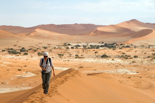 Sossusvlei park, Namibia — Stock Photo, Image