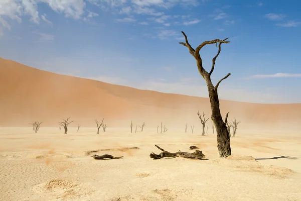 Sossusvlei парк, Намібія — стокове фото