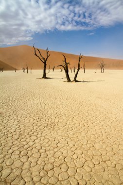 Sossusvlei çöl, Namibya