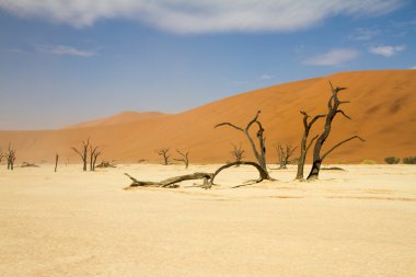 Sossusvlei çöl, Namibya