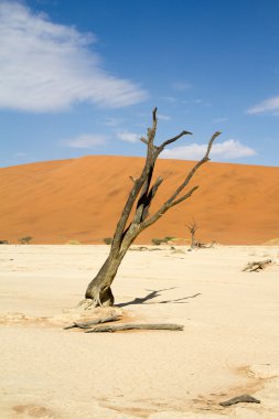 Sossusvlei çöl, Namibya