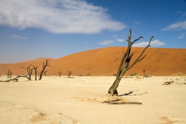 Sossusvlei çöl, Namibya