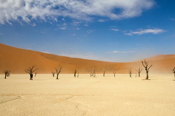 Sossusvlei пустелі, Намібія — стокове фото