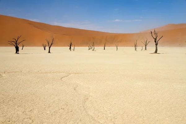 Sossusvlei desert, Namibia — Stock Photo, Image