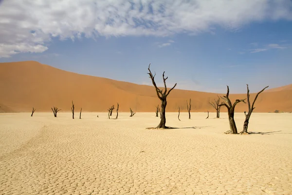 Sossusvlei пустелі, Намібія — стокове фото